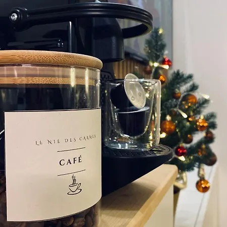 Le Nid Des Carmes Апартаменты