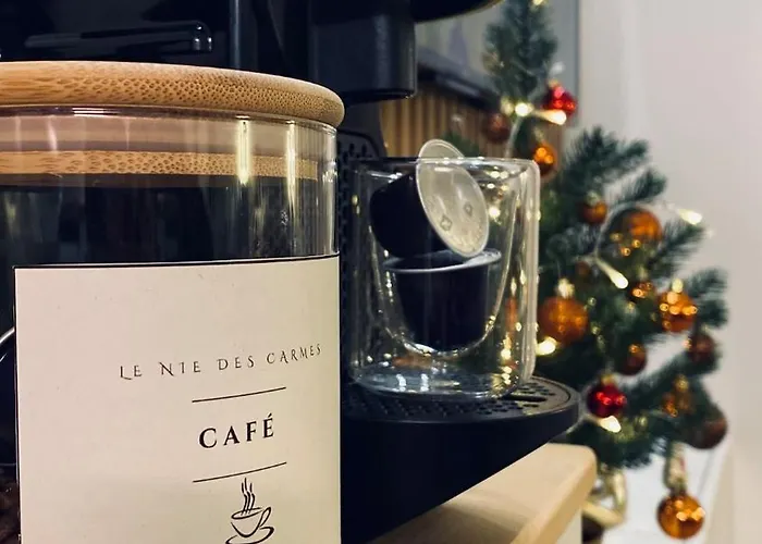 Le Nid Des Carmes Apartmán